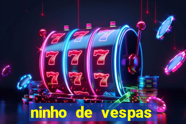 ninho de vespas significado espiritual